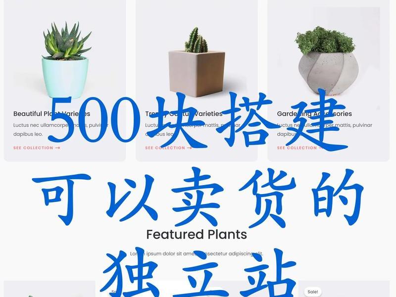 跨境独立站电商教程 跨境独立站赚钱吗