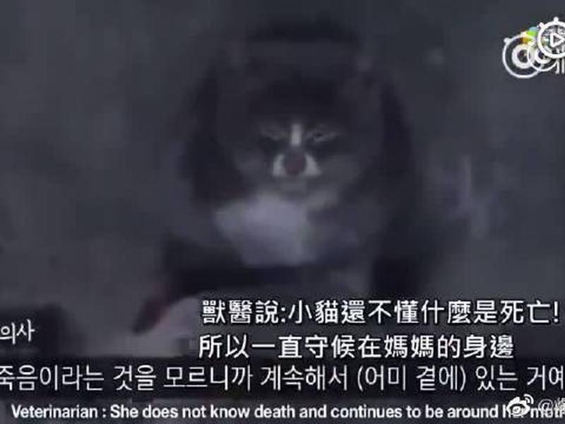 料神的书 - 料神课程真的有用吗