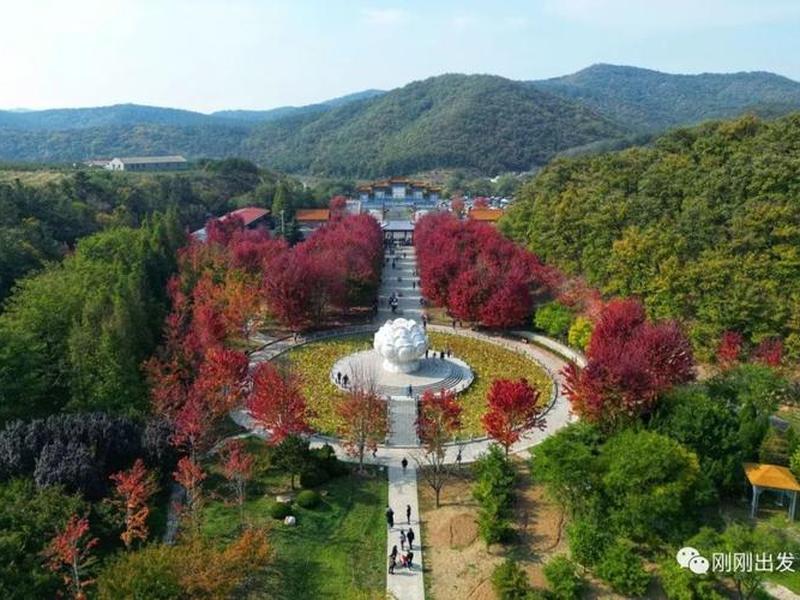 腾讯枫叶平台;腾讯枫叶平台怎么样 腾讯枫叶平台;腾讯枫叶平台怎么样