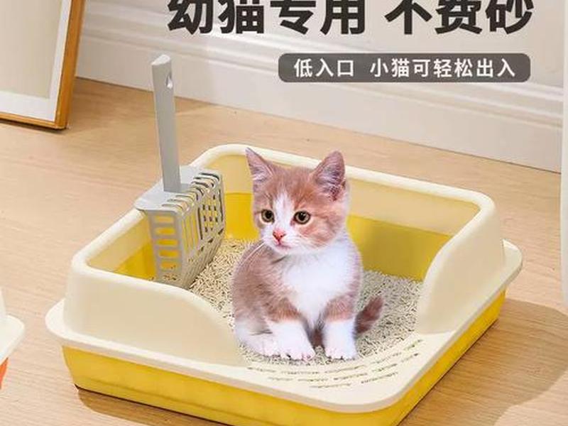 小p大号注册教程 - 注册小号后怎么登录大号