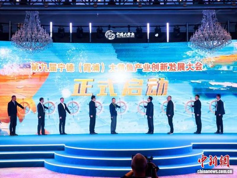 宁德霞浦发展;宁德霞浦未来发展 宁德霞浦发展;宁德霞浦未来发展