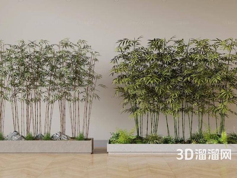 竹子怎么建模(竹子怎么建模视频) 竹子怎么建模(竹子怎么建模视频)