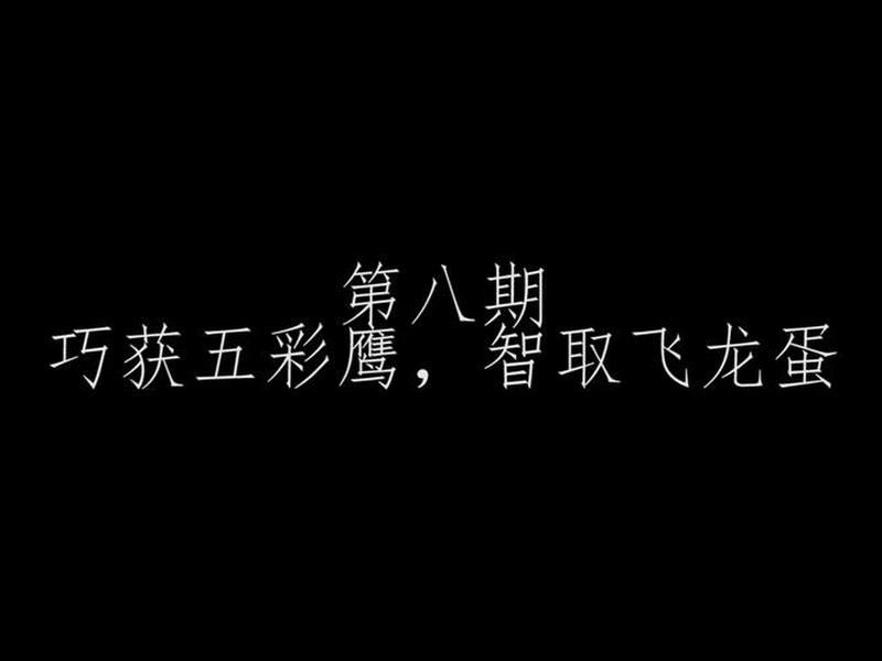 老鹰服务器 老鹰数据 老鹰服务器 老鹰数据