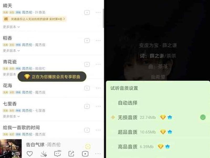 全网vip音乐免费下载网站,全网vip音乐免费下载网站大全 全网vip音乐免费下载网站,全网vip音乐免费下载网站大全