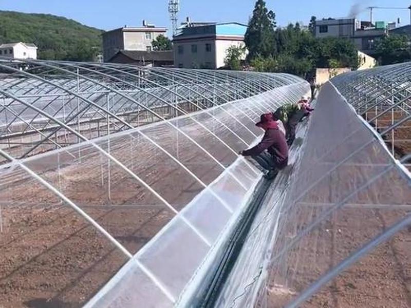 邹平大棚搭建视频，邹平大棚搭建视频最新
