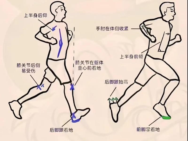 新手站长起步指南(站立式起跑如何提高速度) 新手站长起步指南(站立式起跑如何提高速度)