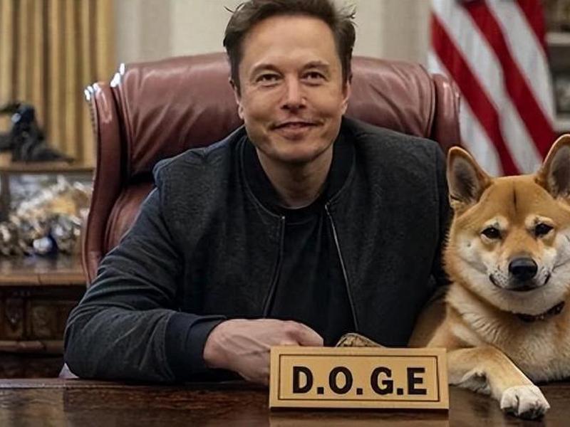 马克斯doge，马克斯韦伯