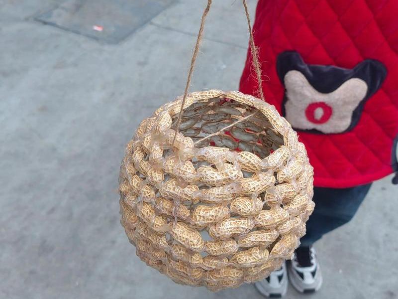 利用花生壳建个人网站 - 花生壳搭建个人网站 利用花生壳建个人网站 - 花生壳搭建个人网站