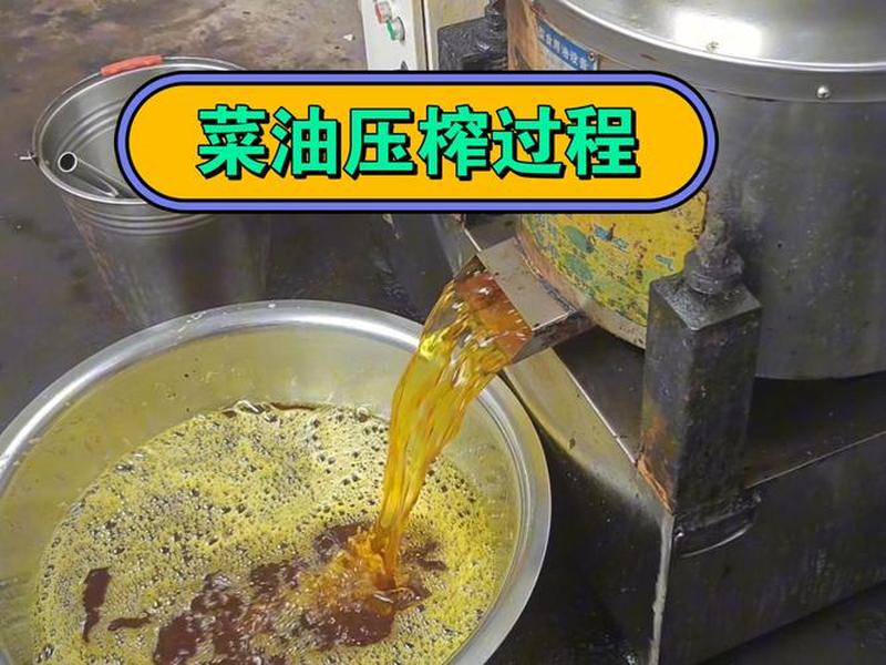 油田怎么做（油田怎么做好吃）