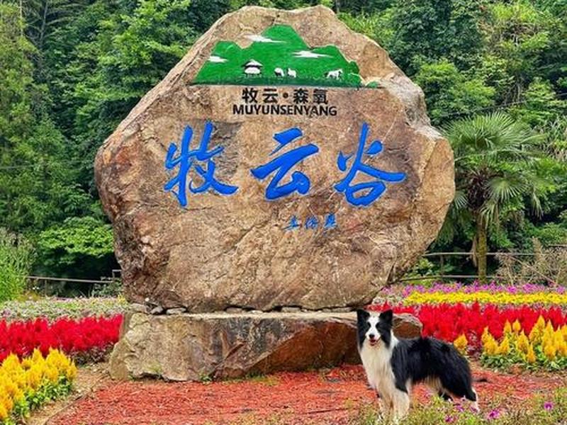 云景平台是做啥的,云景平台是做啥的啊 云景平台是做啥的,云景平台是做啥的啊