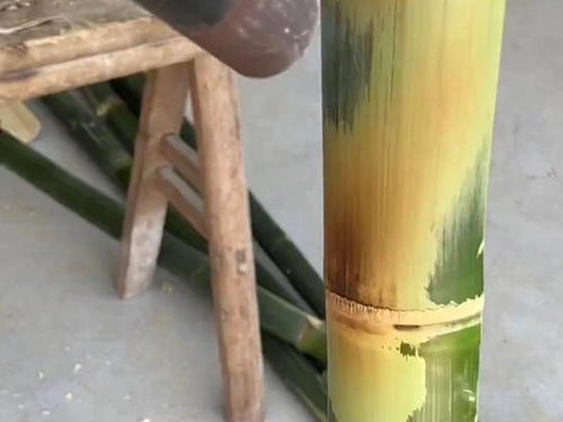 竹子建站教程;竹子建房教程视频 竹子建站教程;竹子建房教程视频