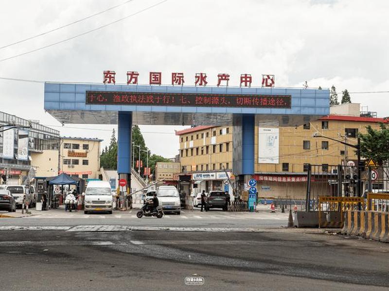 上海杨浦区外贸网站建设市场价格;上海杨浦区外贸网站建设市场价格表 上海杨浦区外贸网站建设市场价格;上海杨浦区外贸网站建设市场价格表