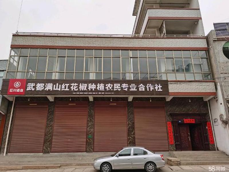 陇南网站制作 陇南网站制作公司 陇南网站制作 陇南网站制作公司