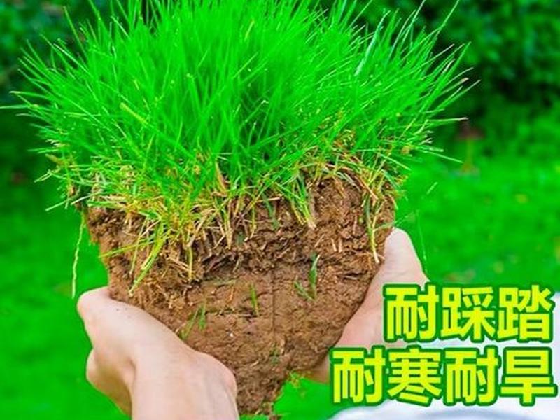 卓天平台入驻流程 - 卓天平台入驻流程图 卓天平台入驻流程 - 卓天平台入驻流程图