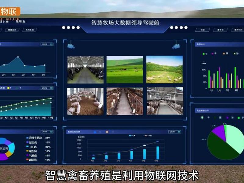 平台怎么搭建的;平台是干什么的 平台怎么搭建的;平台是干什么的