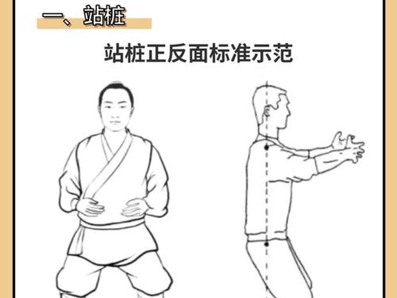 如何练站桩视频教程(如何练站桩视频教程完整版) 如何练站桩视频教程(如何练站桩视频教程完整版)