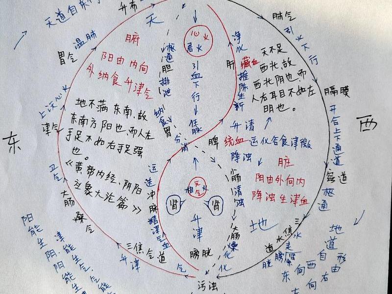顺推逆推什么意思,顺推逆推什么意思解释 顺推逆推什么意思,顺推逆推什么意思解释