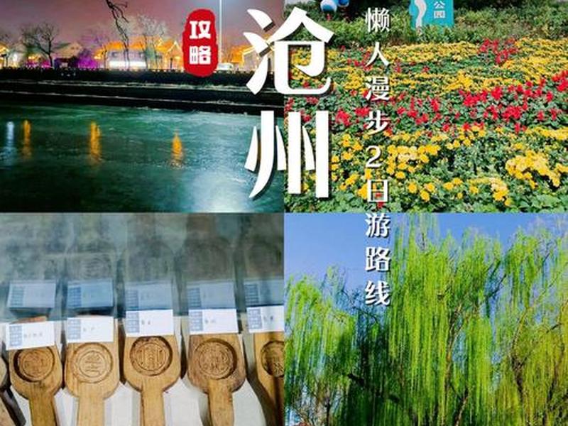 新沧州微平台微信公众号，沧州官方微信公众号