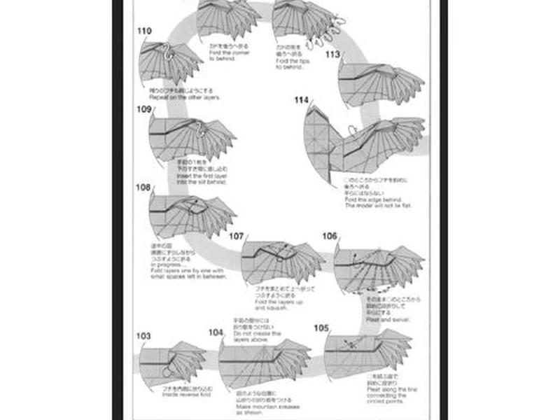 老鹰安装教程 - 老鹰安装教程图解 老鹰安装教程 - 老鹰安装教程图解