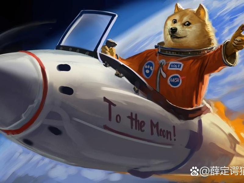 马克斯模板 - 马克斯doge 马克斯模板 - 马克斯doge
