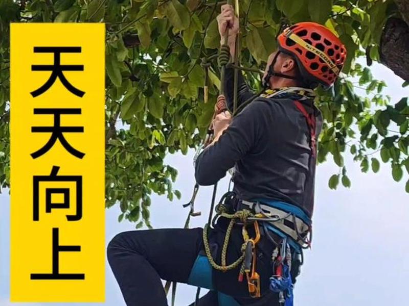 攀树视频教程、攀树视频教程全集 攀树视频教程、攀树视频教程全集