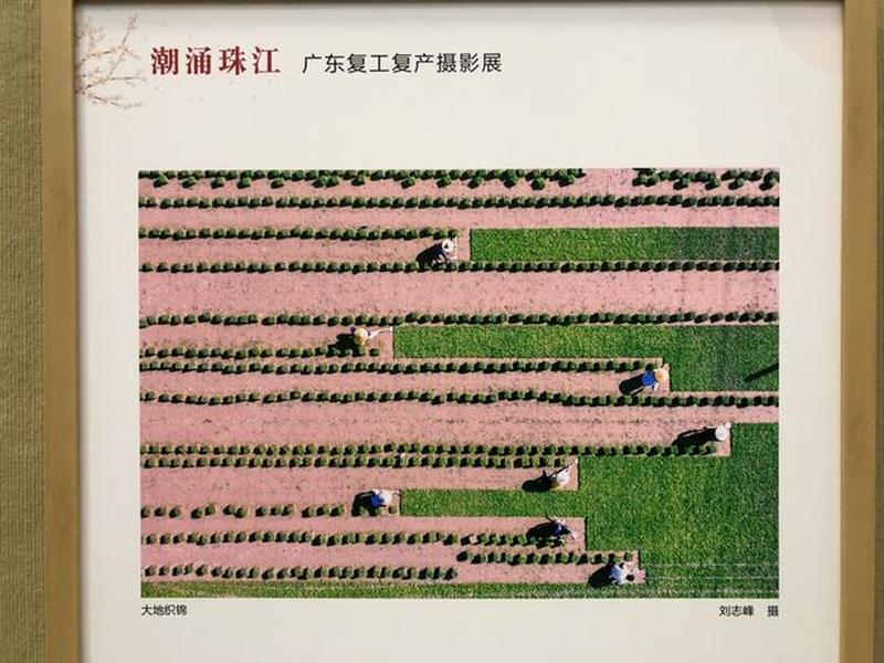 云东海站时刻表,云东海站到广州站时刻表 云东海站时刻表,云东海站到广州站时刻表