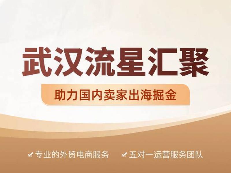 武汉外贸平台搭建 武汉外贸平台搭建公司 武汉外贸平台搭建 武汉外贸平台搭建公司