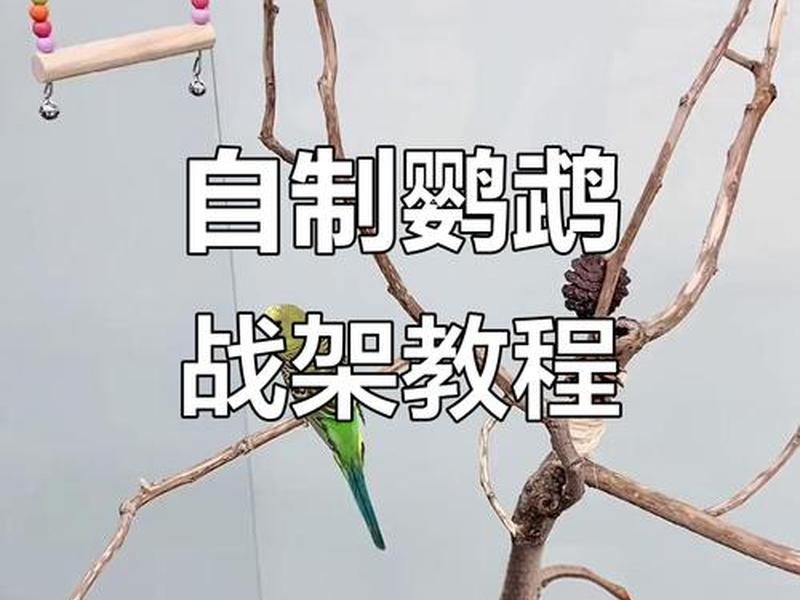自制站立架图片、自制站立架图片高清 自制站立架图片、自制站立架图片高清