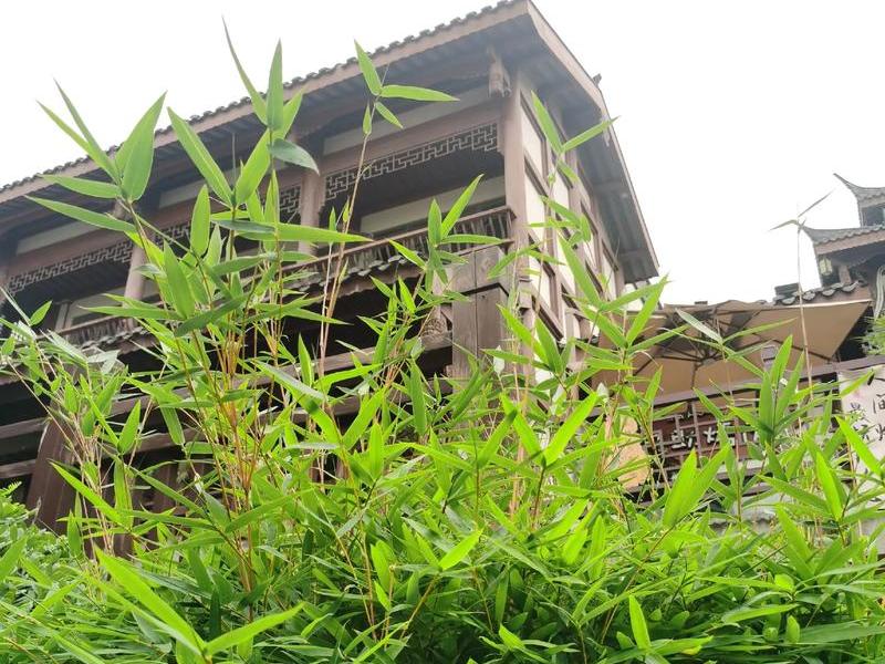 竹子建站视频教程,竹子建房教程视频 竹子建站视频教程,竹子建房教程视频