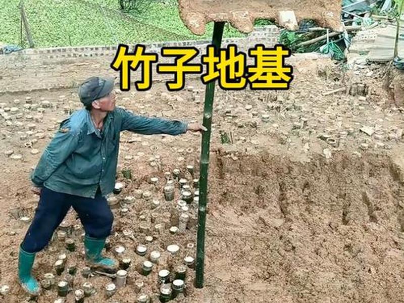 竹子地基的搭建步骤是什么 用竹子打地基是什么原理 竹子地基的搭建步骤是什么 用竹子打地基是什么原理