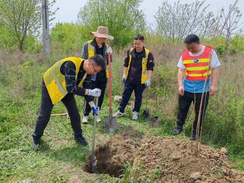 控制点埋设;控制点埋设图片 控制点埋设;控制点埋设图片
