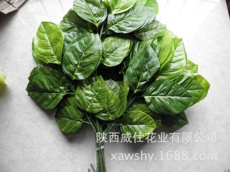 叶子建站(叶子主页) 叶子建站(叶子主页)