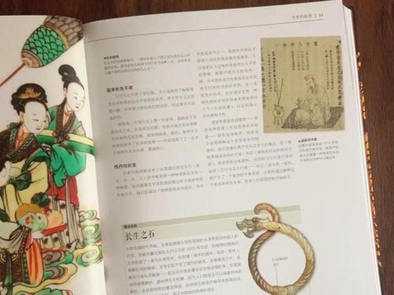 魔法师入门指导 - 魔法师入门指导书 魔法师入门指导 - 魔法师入门指导书
