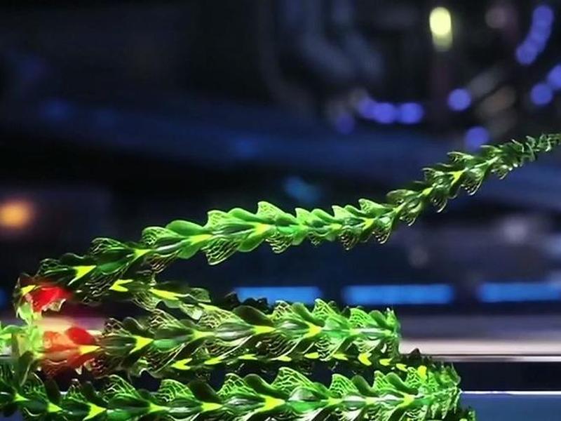 魔云腾搭建网络环境的详细步骤 魔云藤是哪部小说里的 魔云腾搭建网络环境的详细步骤 魔云藤是哪部小说里的