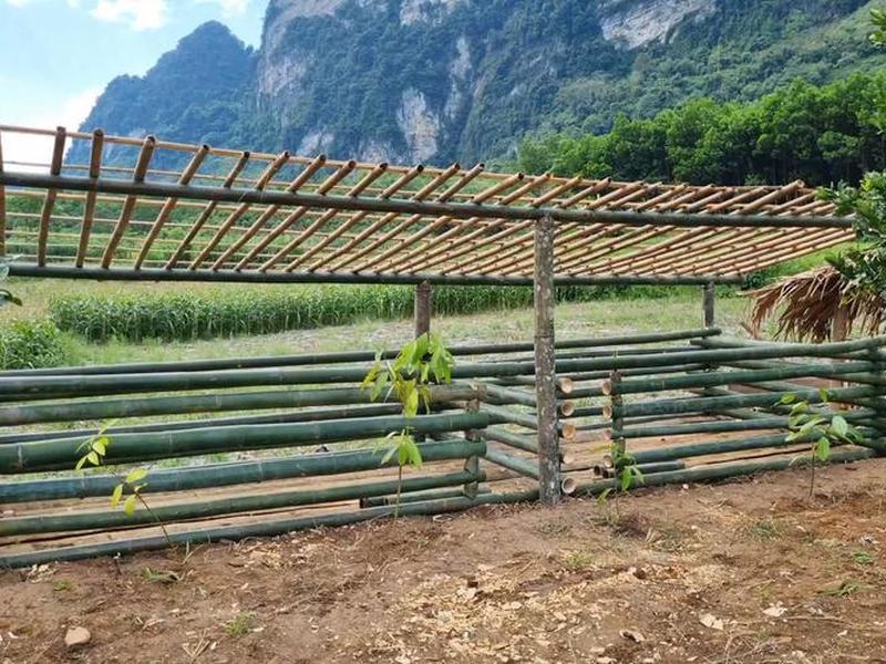 竹子搭建棚、竹子搭建棚子 竹子搭建棚、竹子搭建棚子