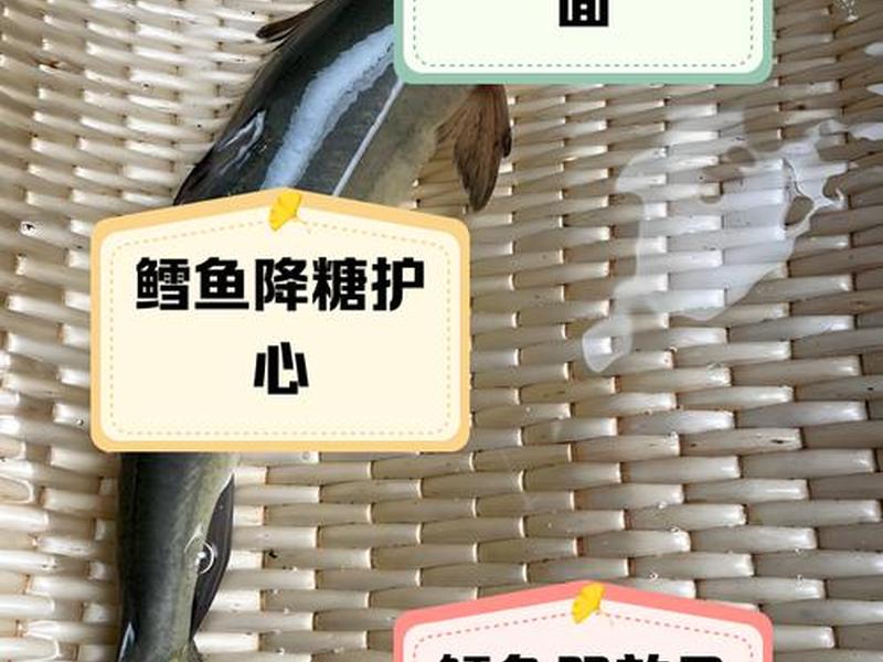 鳕鱼引擎,鳕鱼引擎厉害吗 鳕鱼引擎,鳕鱼引擎厉害吗