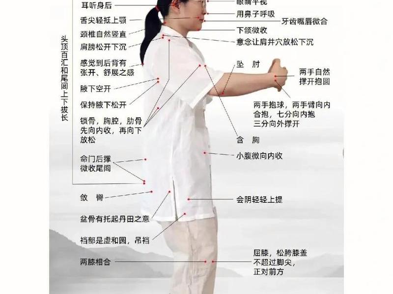 女生站桩100个动作图解 - 女生站桩100个动作图解大全 女生站桩100个动作图解 - 女生站桩100个动作图解大全