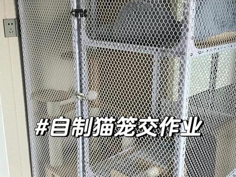 装修猫笼教程、装修猫笼教程图解 装修猫笼教程、装修猫笼教程图解