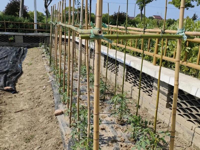 竹子搭建平台;竹子搭建平台方案 竹子搭建平台;竹子搭建平台方案