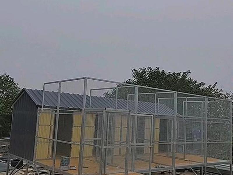怎样搭建鸽棚视频(怎样搭建鸽棚视频教程) 怎样搭建鸽棚视频(怎样搭建鸽棚视频教程)