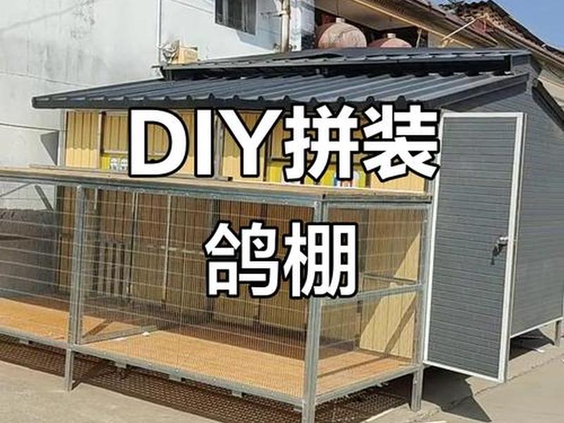怎样搭建鸽棚视频(怎样搭建鸽棚视频教程) 怎样搭建鸽棚视频(怎样搭建鸽棚视频教程)