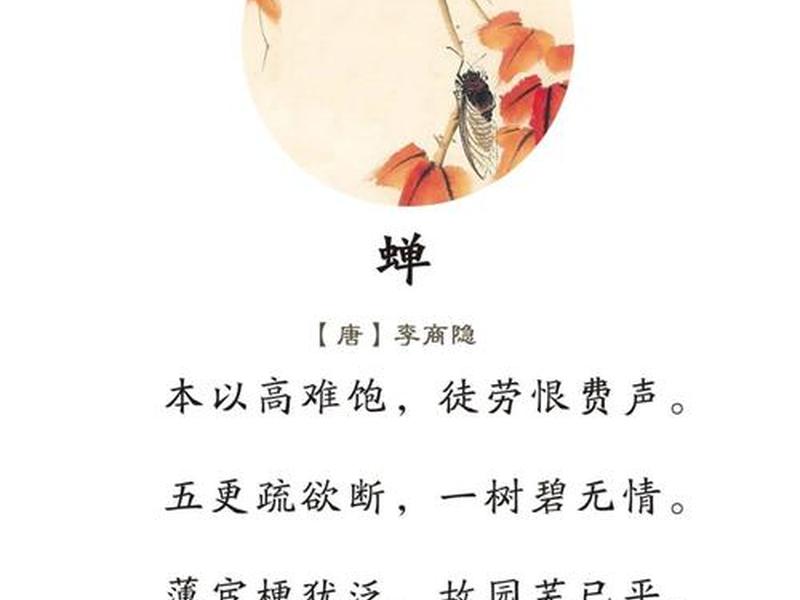 鸣蝉网站文章 - 鸣蝉网站文章在线阅读 鸣蝉网站文章 - 鸣蝉网站文章在线阅读