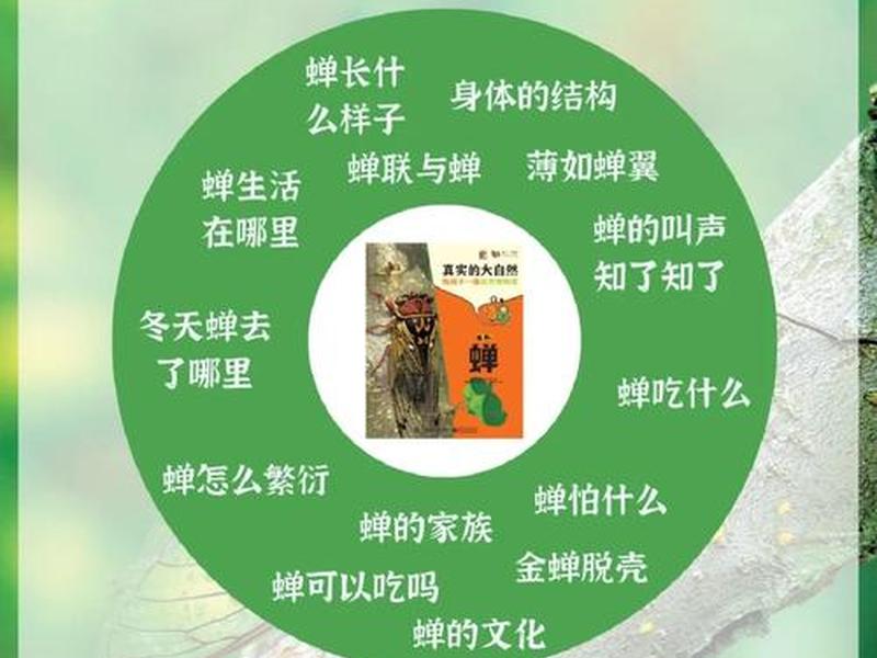 鸣蝉网址;鸣蝉网站文章 鸣蝉网址;鸣蝉网站文章