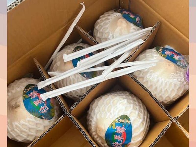 椰果建站教程sp，椰果app是干嘛的