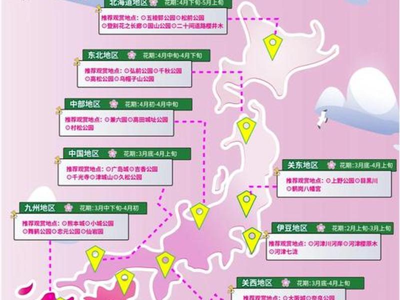 樱花映射检查本地服务是否打开、樱花映射本地端口 樱花映射检查本地服务是否打开、樱花映射本地端口