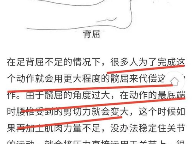慢慢蹲啥意思、慢蹲蹲什么意思 慢慢蹲啥意思、慢蹲蹲什么意思
