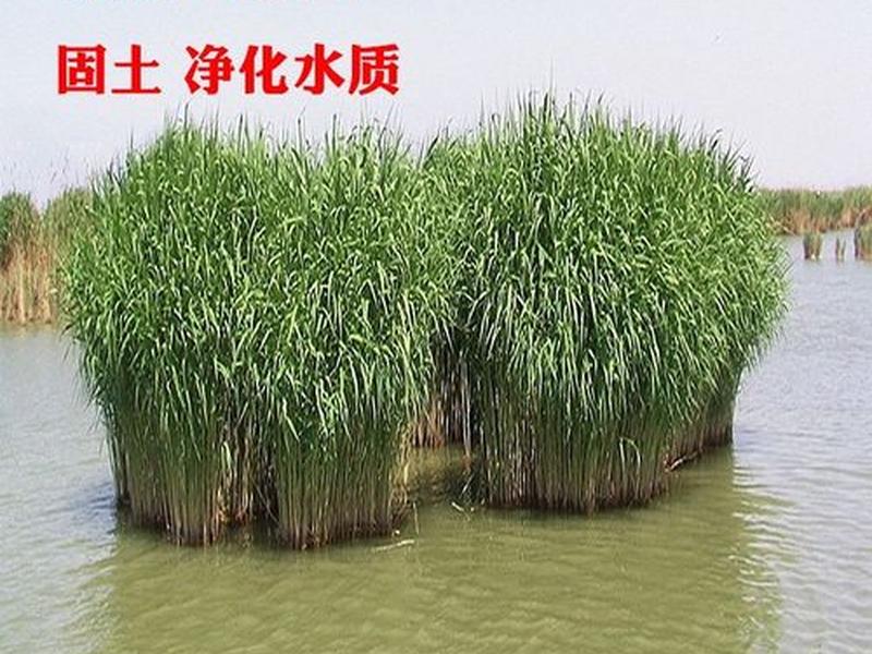 卓天商务平台使用攻略 卓天商务商家平台 卓天商务平台使用攻略 卓天商务商家平台