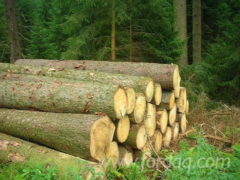 木材行业网站建设获客,木材信息最大的网站 木材行业网站建设获客,木材信息最大的网站