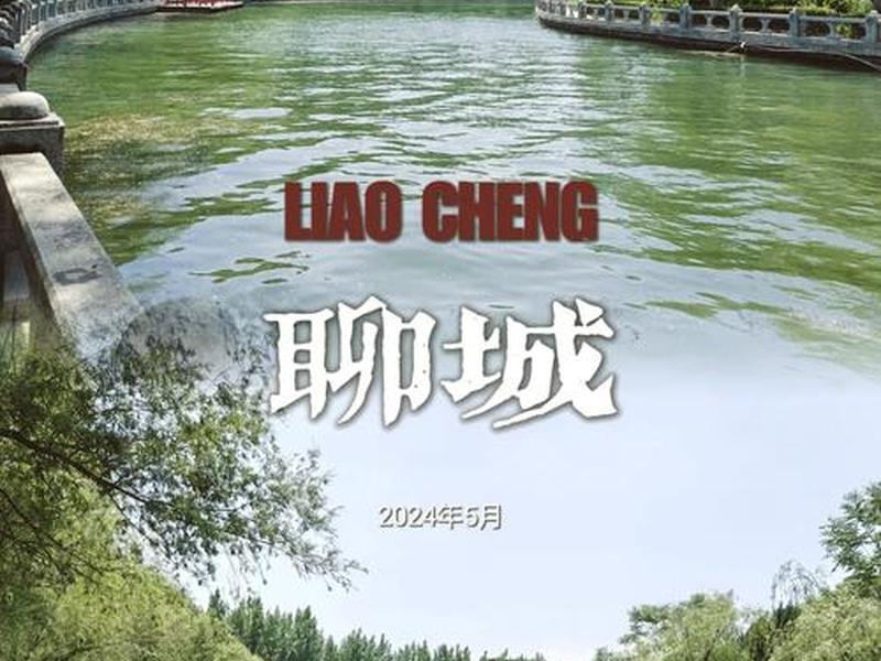 聊城本地网站 - 聊城市网站 聊城本地网站 - 聊城市网站