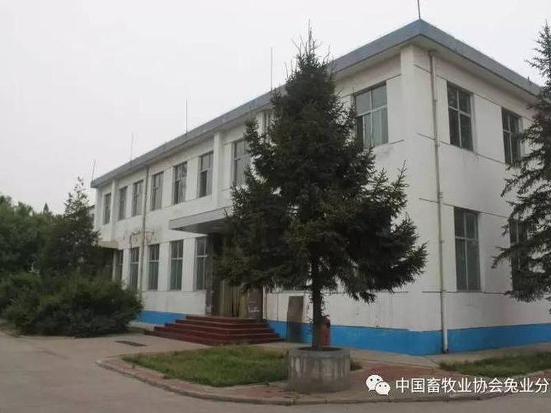 长治外贸公司 长治外贸公司90年代是干什么的 长治外贸公司 长治外贸公司90年代是干什么的